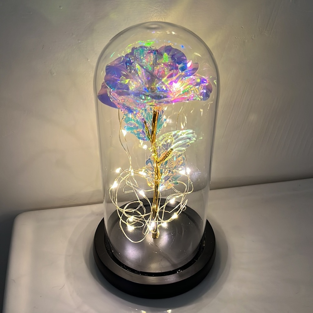 Rose in Glass Vase